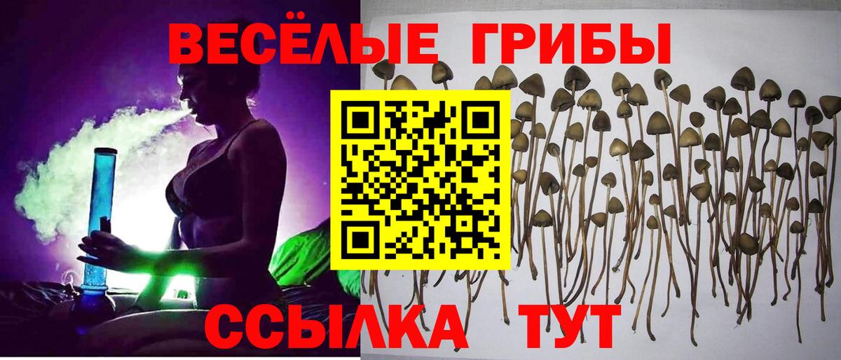 Псилоцибиновые грибы Psilocybe  Псилоцибиновые грибы GOLDEN TEACHER  Вход с VPN  Шахты 